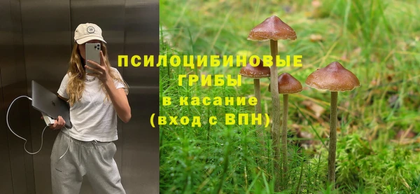 твердый Кодинск