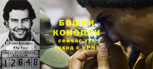 Альфа ПВП Костерёво