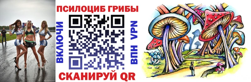 Псилоцибиновые грибы Psilocybe  где продают наркотики  Кологрив 